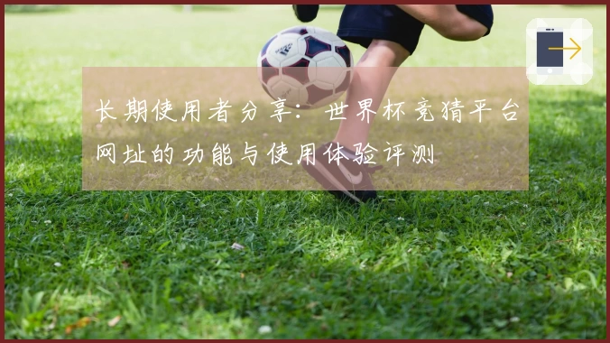 长期使用者分享：世界杯竞猜平台网址的功能与使用体验评测