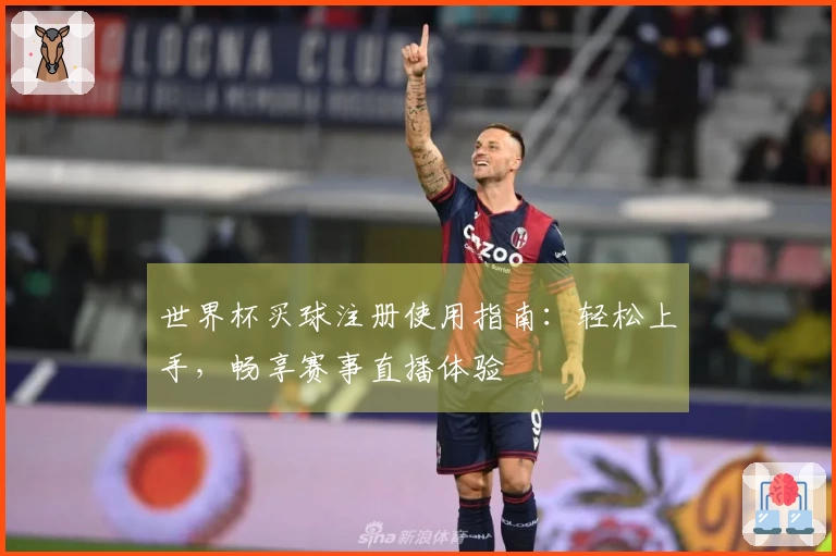 世界杯买球注册使用指南：轻松上手，畅享赛事直播体验