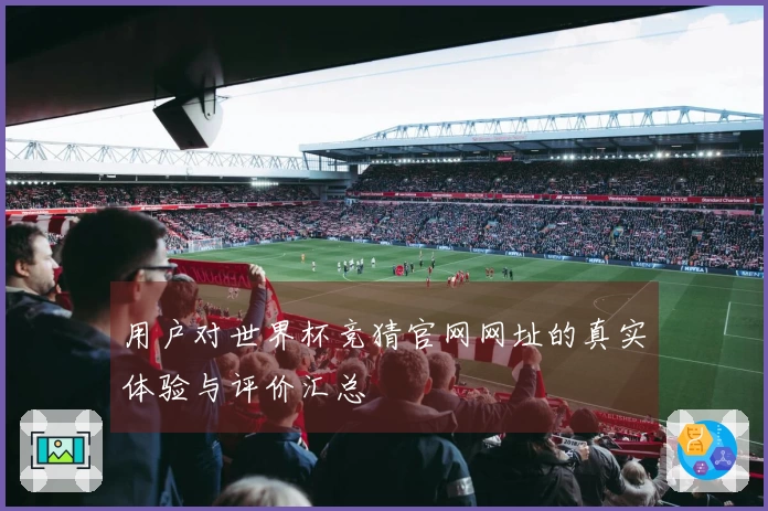用户对世界杯竞猜官网网址的真实体验与评价汇总