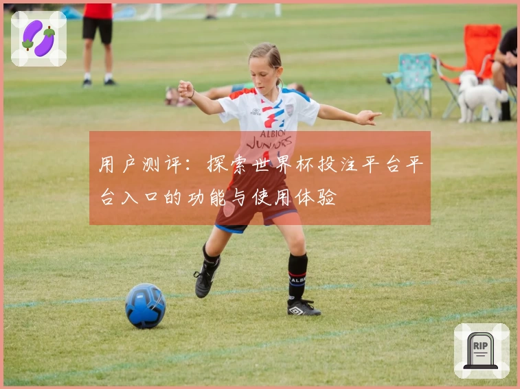 用户测评：探索世界杯投注平台平台入口的功能与使用体验