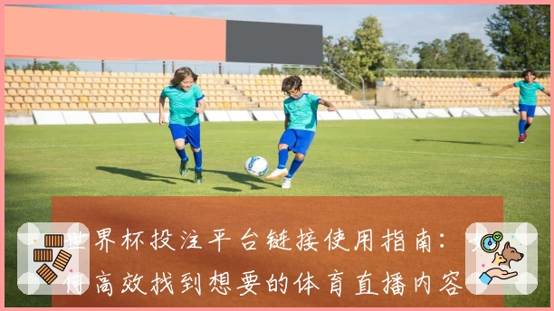 世界杯投注平台链接使用指南：如何高效找到想要的体育直播内容