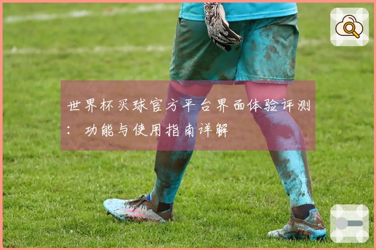 世界杯买球官方平台界面体验评测：功能与使用指南详解